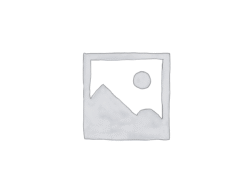 عنصر نائب Placeholder